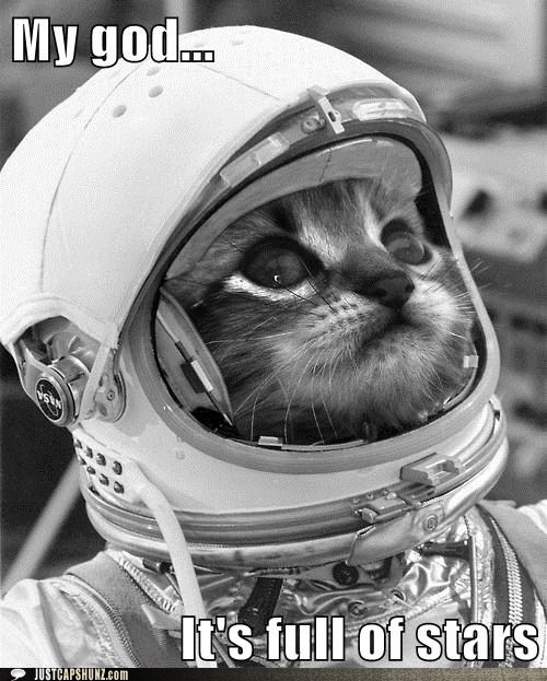 [Jeu] Association d'images - Page 10 Funny-captions-astronaut-kitteh-still-awed-by-space